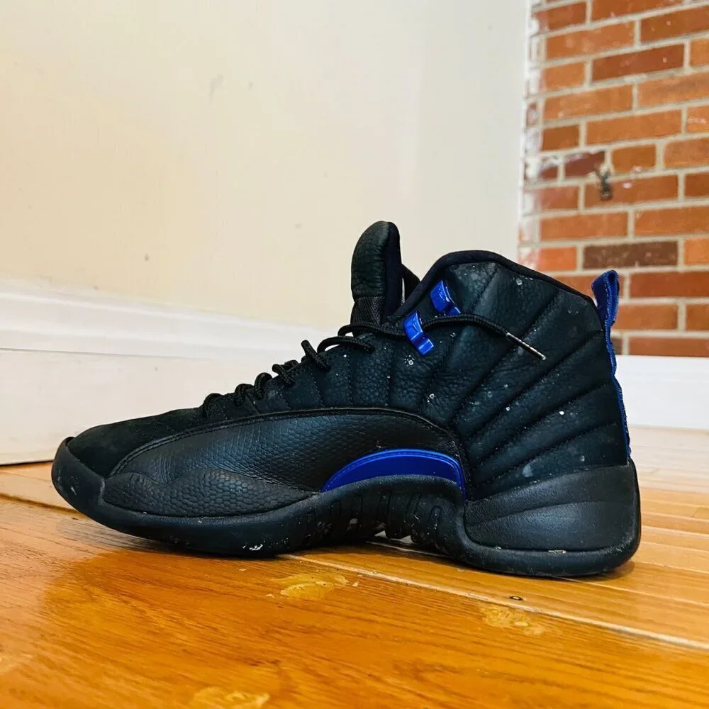 Jordan Retro 12 Dark Concord Size 11.5 CT8013-005